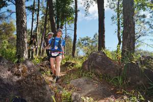 BIB: 
                            <button type="button" onclick="openModal(18943157)" class="btn btn-primary btn-sm float-right btn-popup" data-toggle="modal" data-target=".modal-high-quality">
                        <i class="fas fa-shopping-cart"></i> Add to Cart
                    </button>
                                            <button type="button" onclick="isThisMe(18943157, true)" class="btn btn-success btn-sm float-right btn-popup btn-isme hidden" data-toggle="tooltip" data-placement="bottom" title="นี่คือรูปของคุณใช่ไหม คลิกที่นี่เพื่อเอาเข้าอัลบั้ม">
                        <i class="fas fa-plus"></i> Add to album
                    </button>
                    <button type="button" onclick="isThisMe(18943157, false)" class="btn btn-warning btn-sm float-right btn-popup btn-isnotme hidden">
                        <i class="fas fa-ban"></i> Remove from album
                    </button>